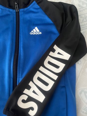 veste adidas bleu noir