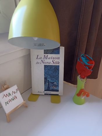 Livre "La Maison de Nora Silk" - Alice Hoffman (Rare / Très bon état)