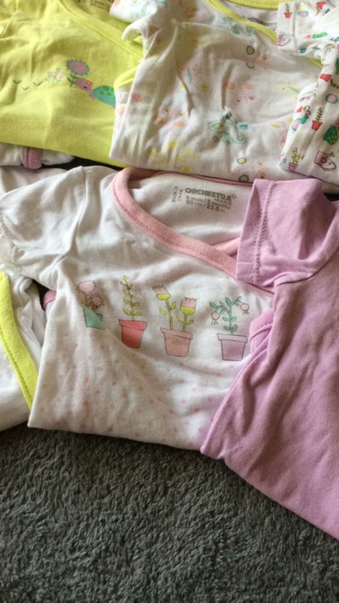 Lot 7 bodies - photo numéro 3