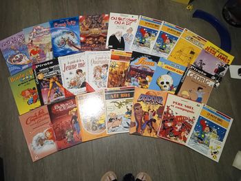 Lot de 24 livres bd