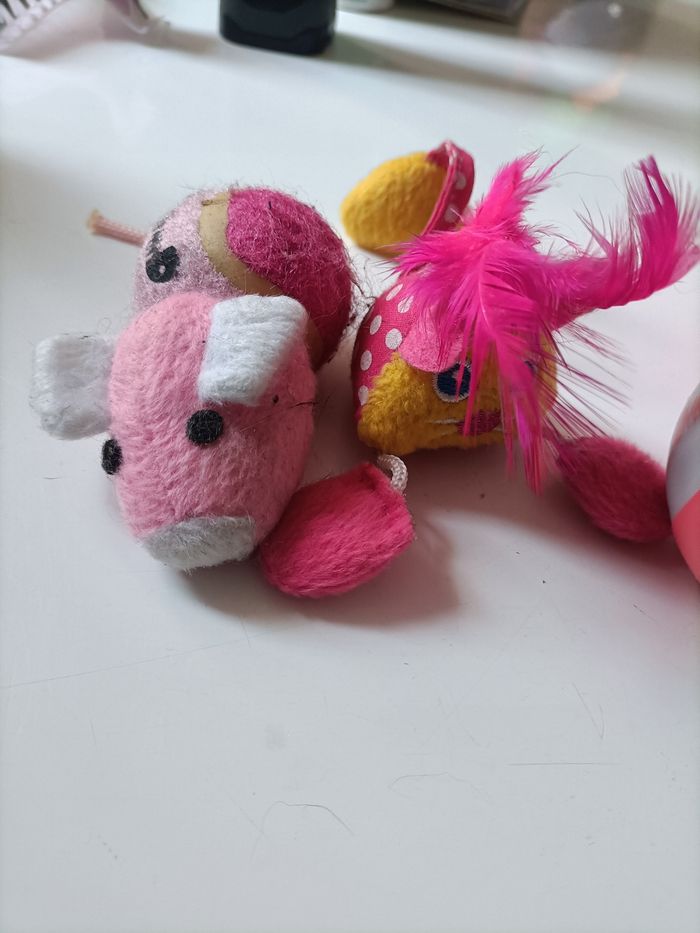 Lot  jouets chat - photo numéro 3