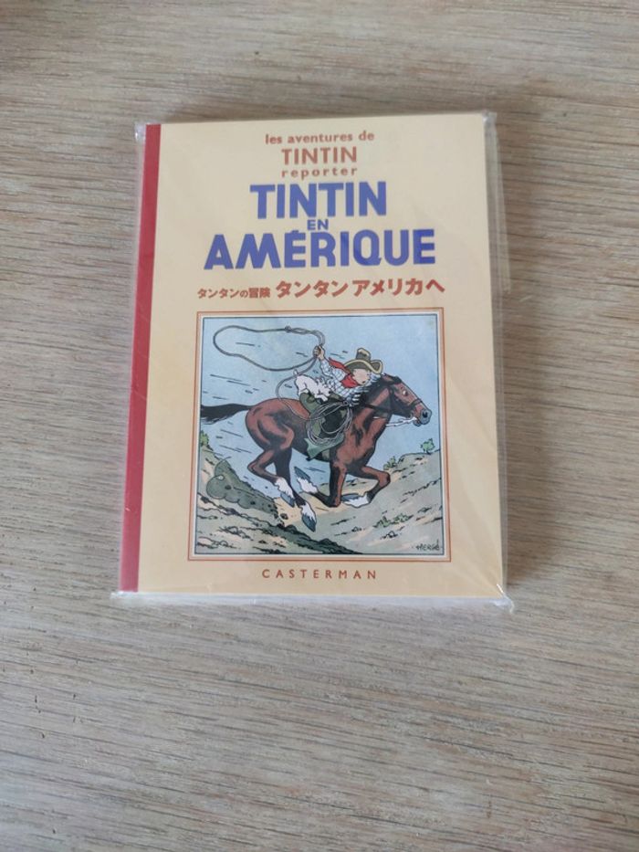 2 Tintin en japonais - photo numéro 4