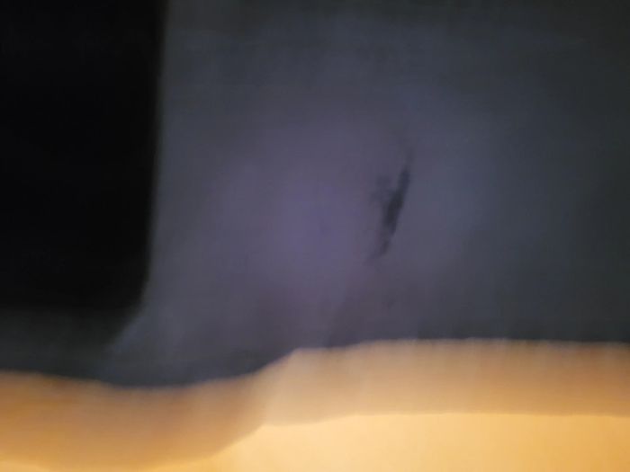 Jeans - photo numéro 3