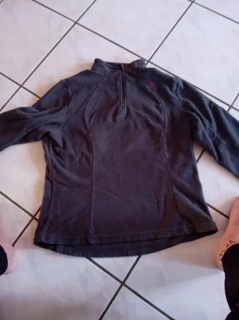 Pull polaire