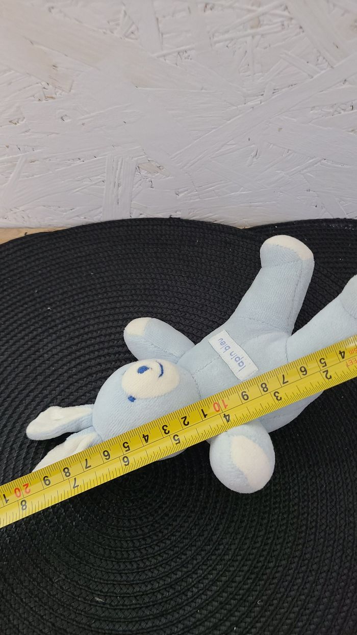 MINI LAPIN BLEU MRSA - photo numéro 2