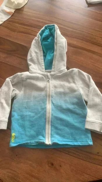 Gilet à capuche