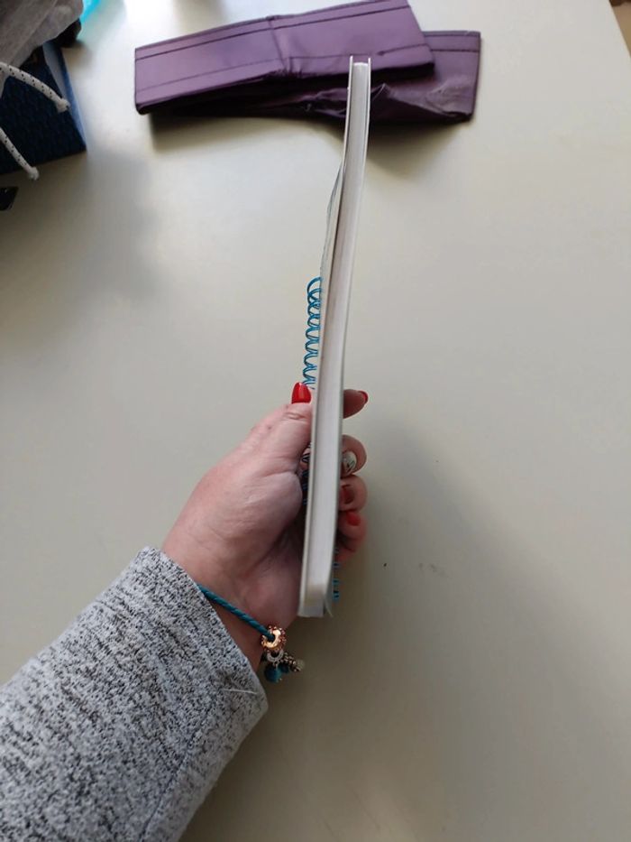 Cahier pour écrire la reine des neiges - photo numéro 7