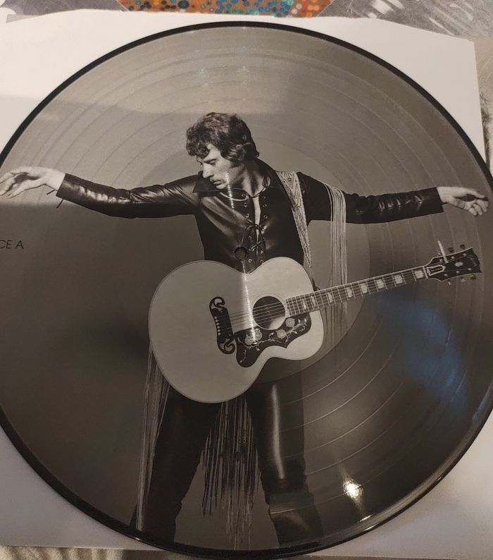 Vinyl johnny Halliday 33T - photo numéro 3