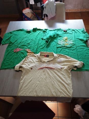 Lot de 3 tee shirt coton manches courtes