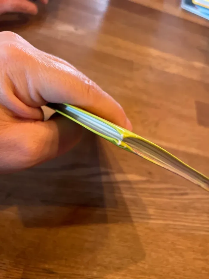 Livre La bibliothèque Rose Winx Club Numéro 50 La planète Zénith - photo numéro 11