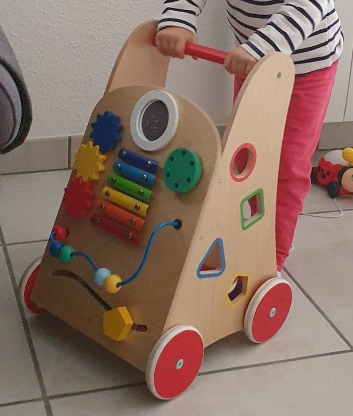 Chariot de marche - photo numéro 2