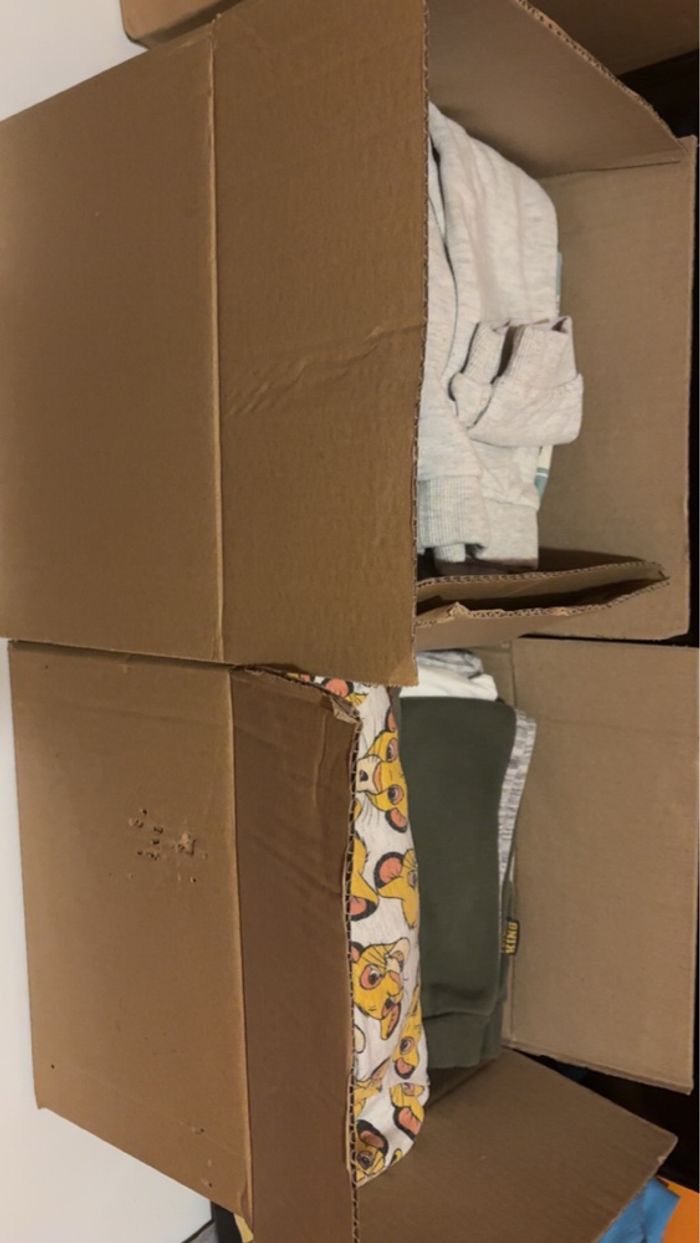 Lot vêtement du roi lion