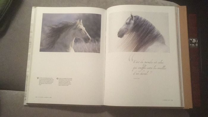 Livres cheval - photo numéro 3