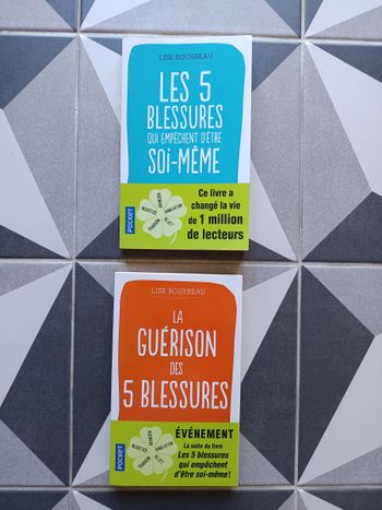 Lot de 2 livres 5 blessures Lise Bourbeau Pocket