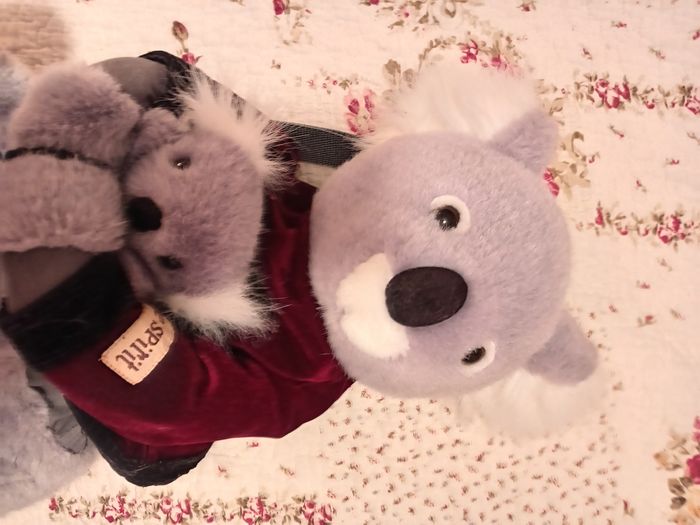 Koala peluche sac à dos - photo numéro 6