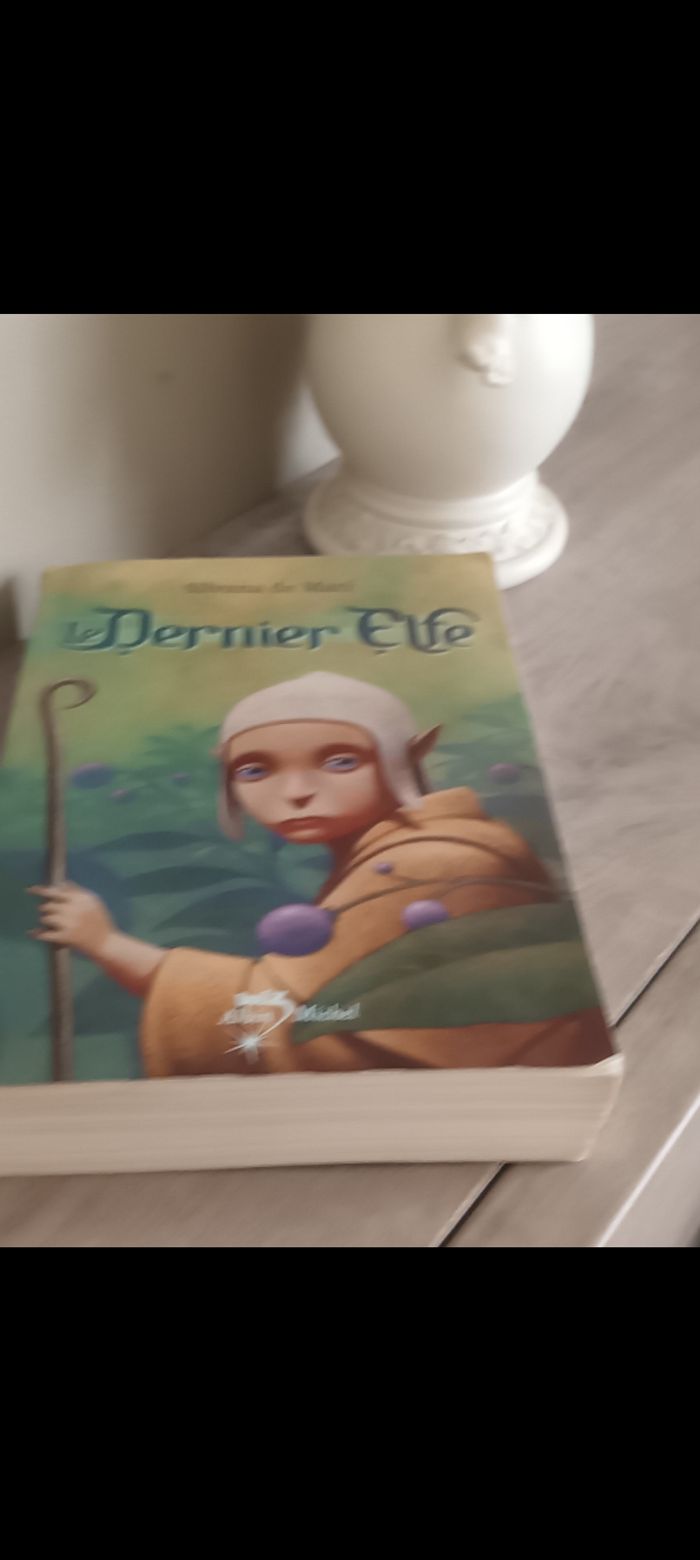 Le dernier Elfe - photo numéro 2