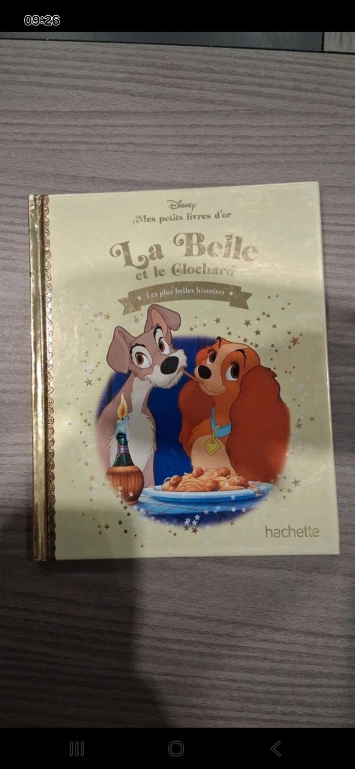 Lot 10 livres mes petits livres d'or - photo numéro 8