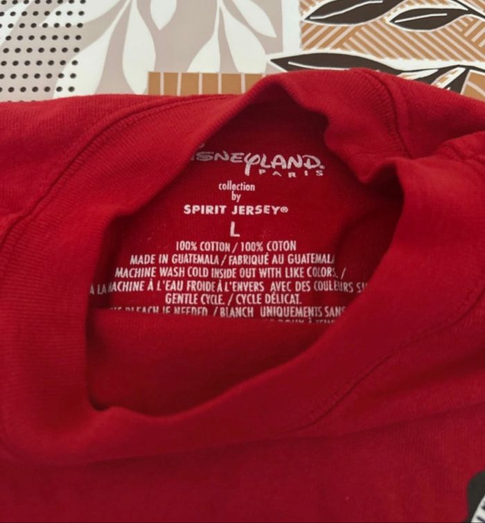Sweat-shirt Disneyland - photo numéro 3