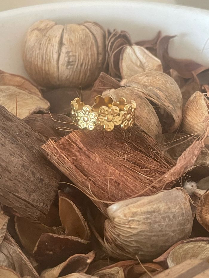 Bague acier inoxydable