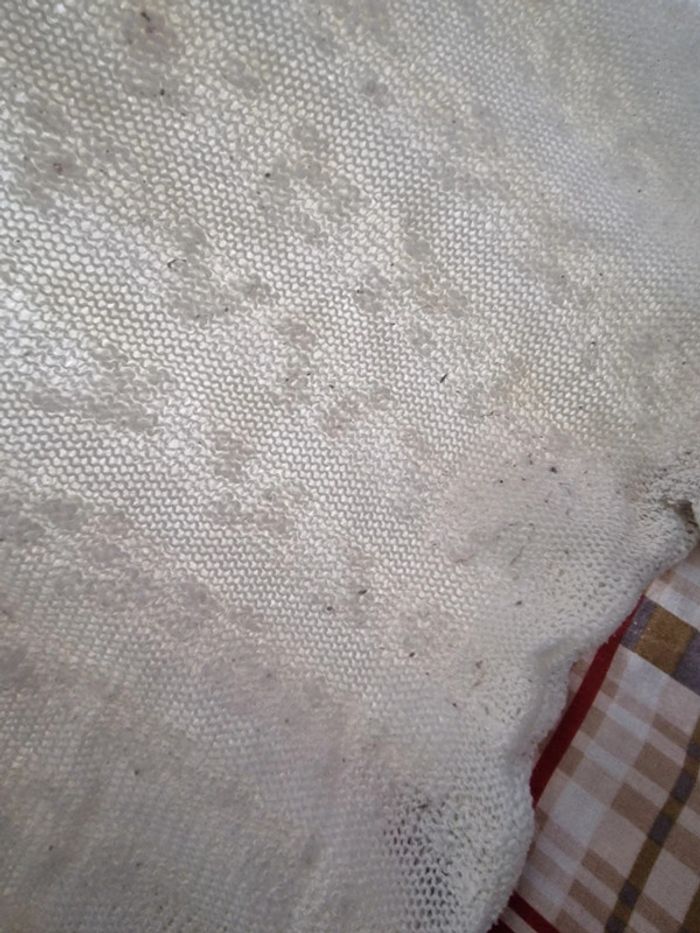 Pull manches courtes - photo numéro 4