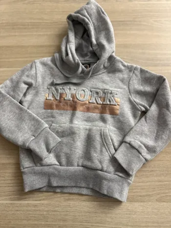 Sweat à capuche US Freestar gris – New York – 4 ans – TBE