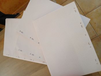 Lot feuille  petit  carreaux