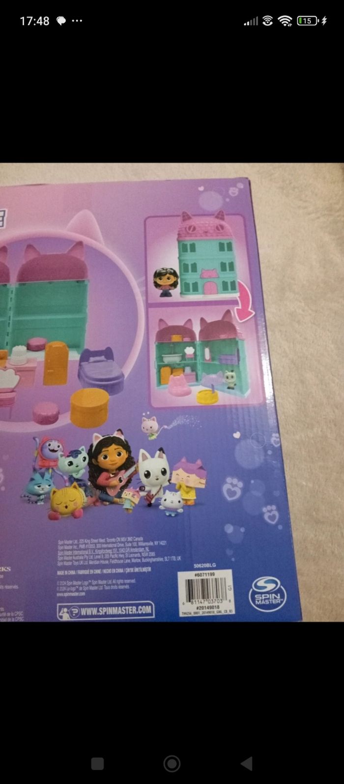 Gabby's chat maison - photo numéro 7