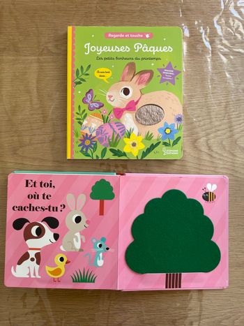 Lot de 2 livres thèmes Pâques 