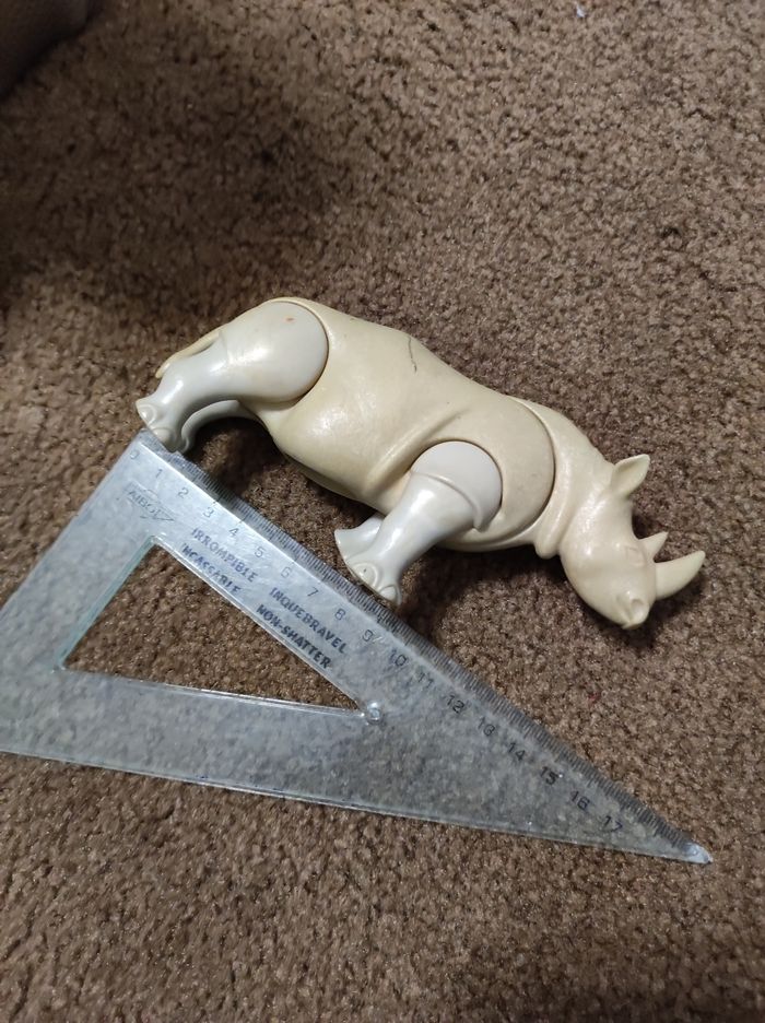 rhinocéros - photo numéro 4