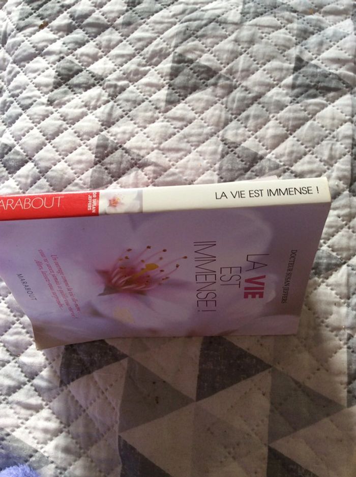 #la vie est immense Docteur Susan Jeffers - photo numéro 4