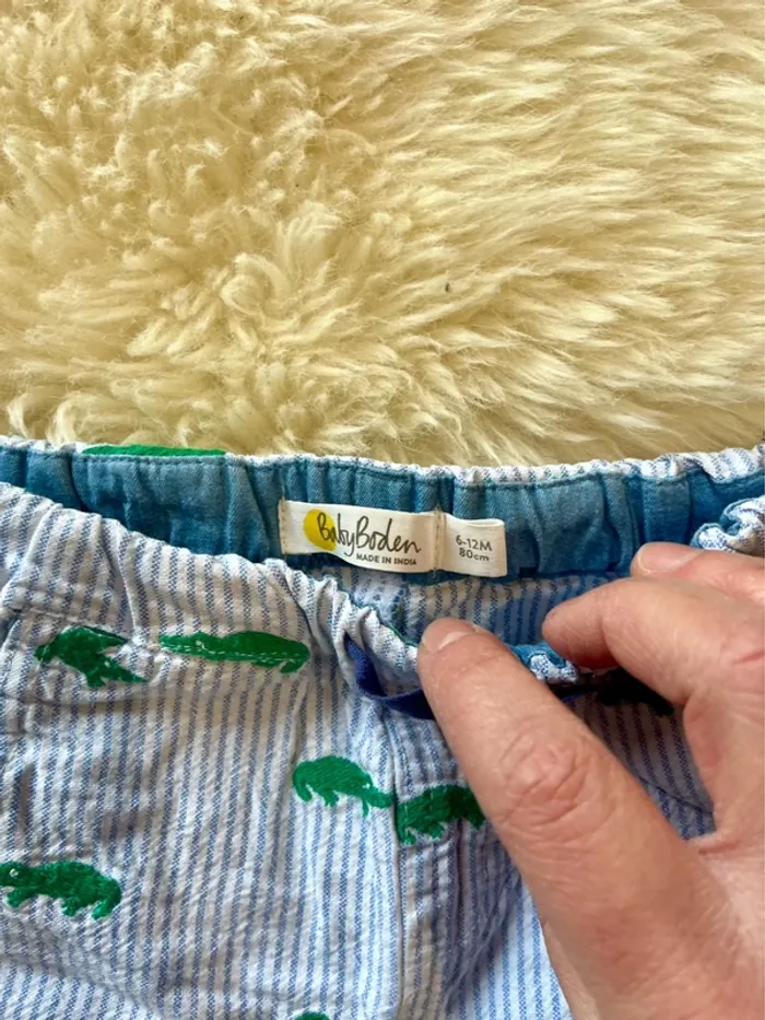 Short crocodile - photo numéro 2