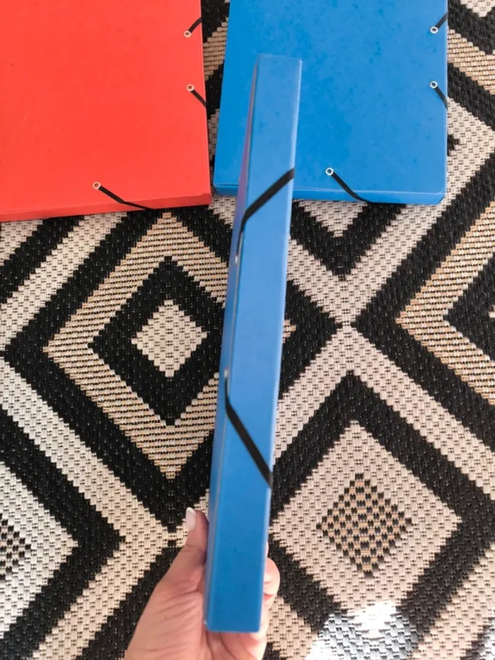 Lot de 3 chemises cartonnées – Bleu & Rouge – Neuf - photo numéro 2