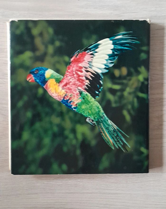 Faune des îles - photo numéro 10