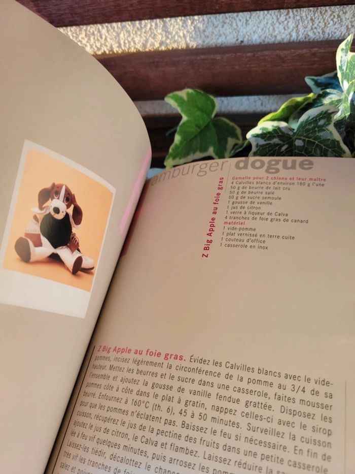 Livre de recette "Mon chien fait recette" - photo numéro 5