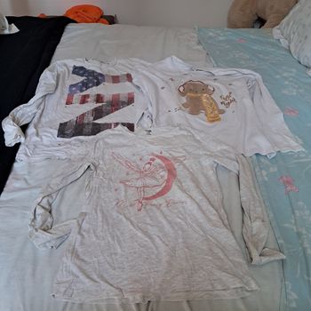 Lots 3 teashirts manches longues taille 12ans  filles 