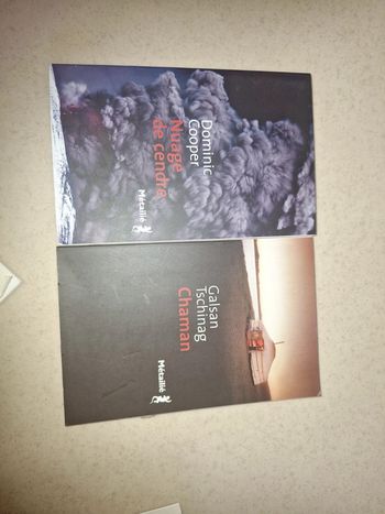 Chaman et nuage de cendre lot