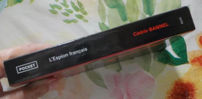 L'Espion français de Cédric Bannel Ed. Pocket - photo numéro 3