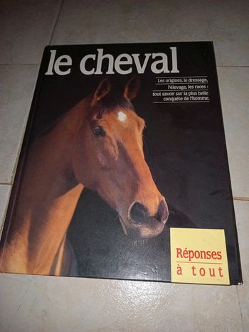 Réponses à tout : le cheval