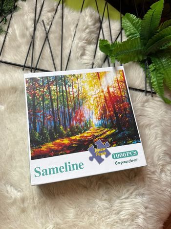 Puzzle 1000 pièces - Automne - NEUF