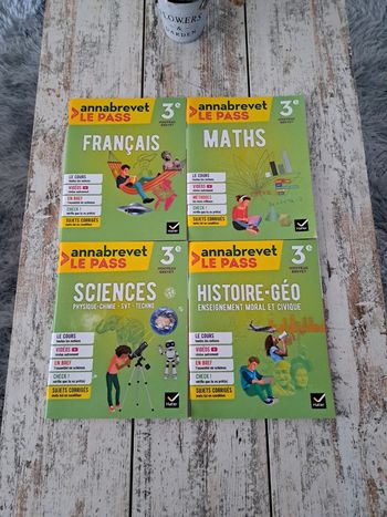 lot de 4 livres Anna brevet le pass 3e NEUF