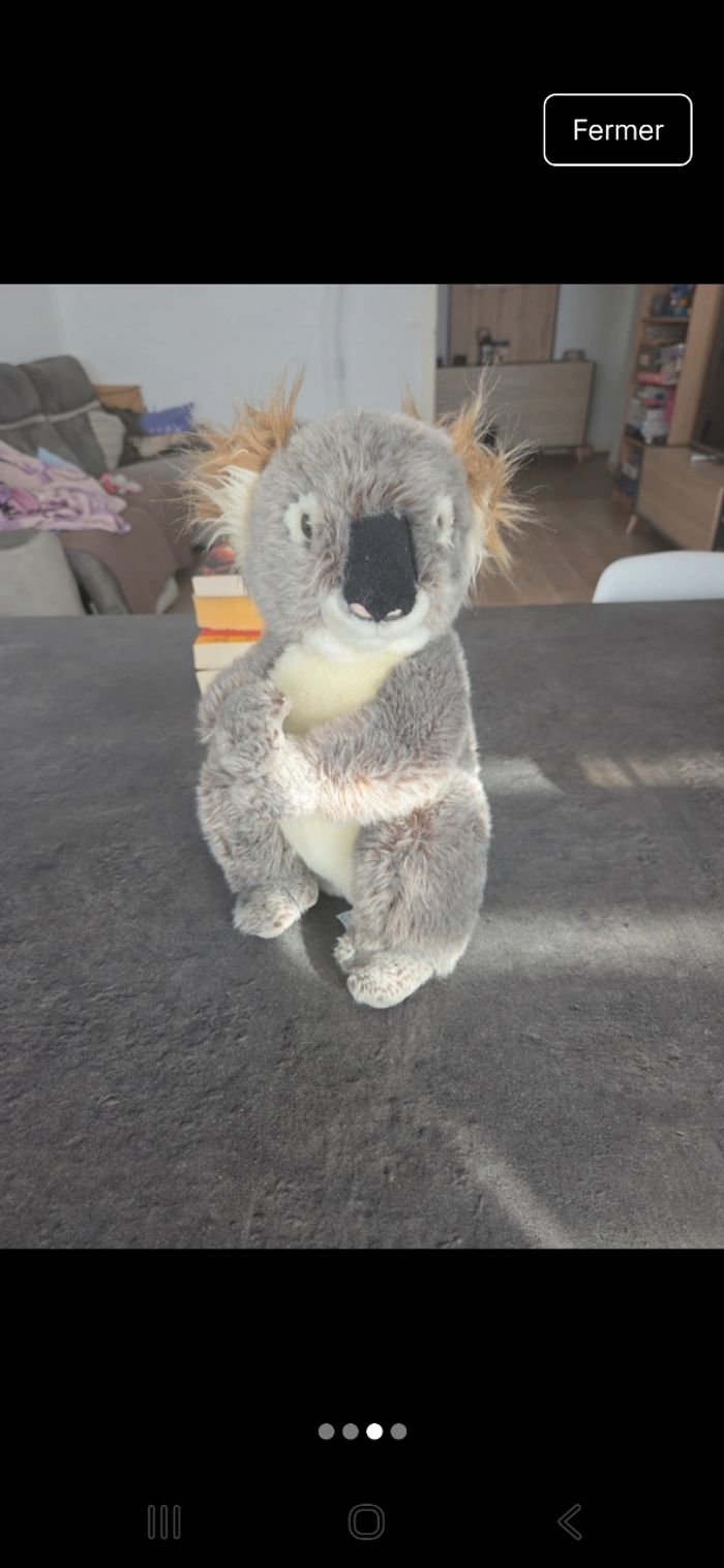 Koala - photo numéro 3