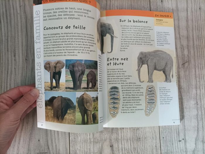 Livre éducatif sur les éléphants neuf - photo numéro 5