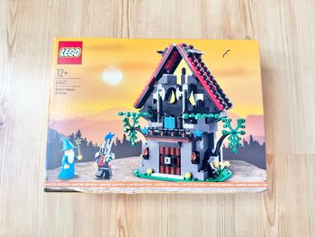 Lego Set Castle : l’Atelier Magique de Majisto (Réf. : 40601) - NEUF