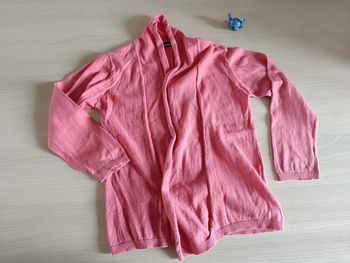 gilet