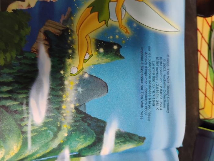 📚  Lot de livres Disney – Très bon état - photo numéro 3