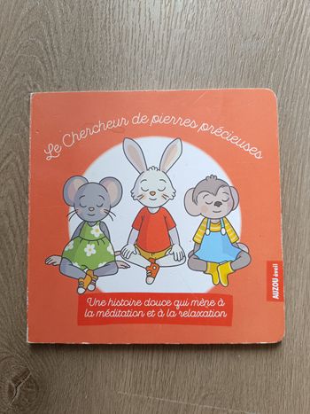 Livre le chercheur de pierres précieuses