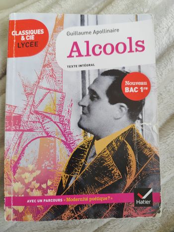 Livre Alcools de Guillaume Apollinaire 