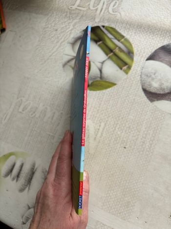 Livre grabouillon - photo numéro 6