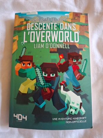 Descente dans l'Overworld.