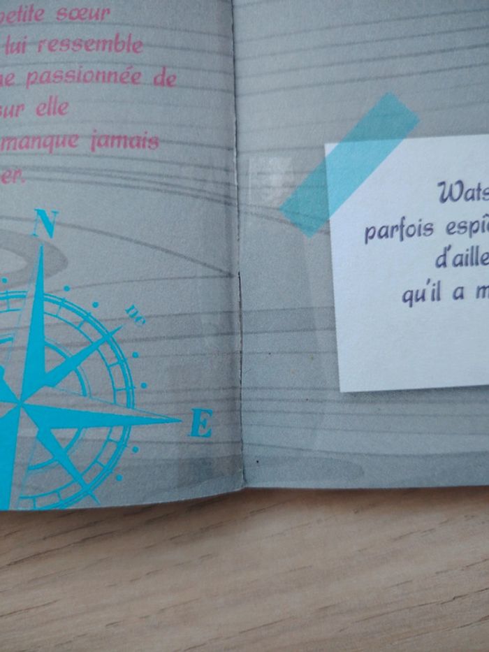 Livre Les petites enquêtes ce2 et cm1 - photo numéro 7